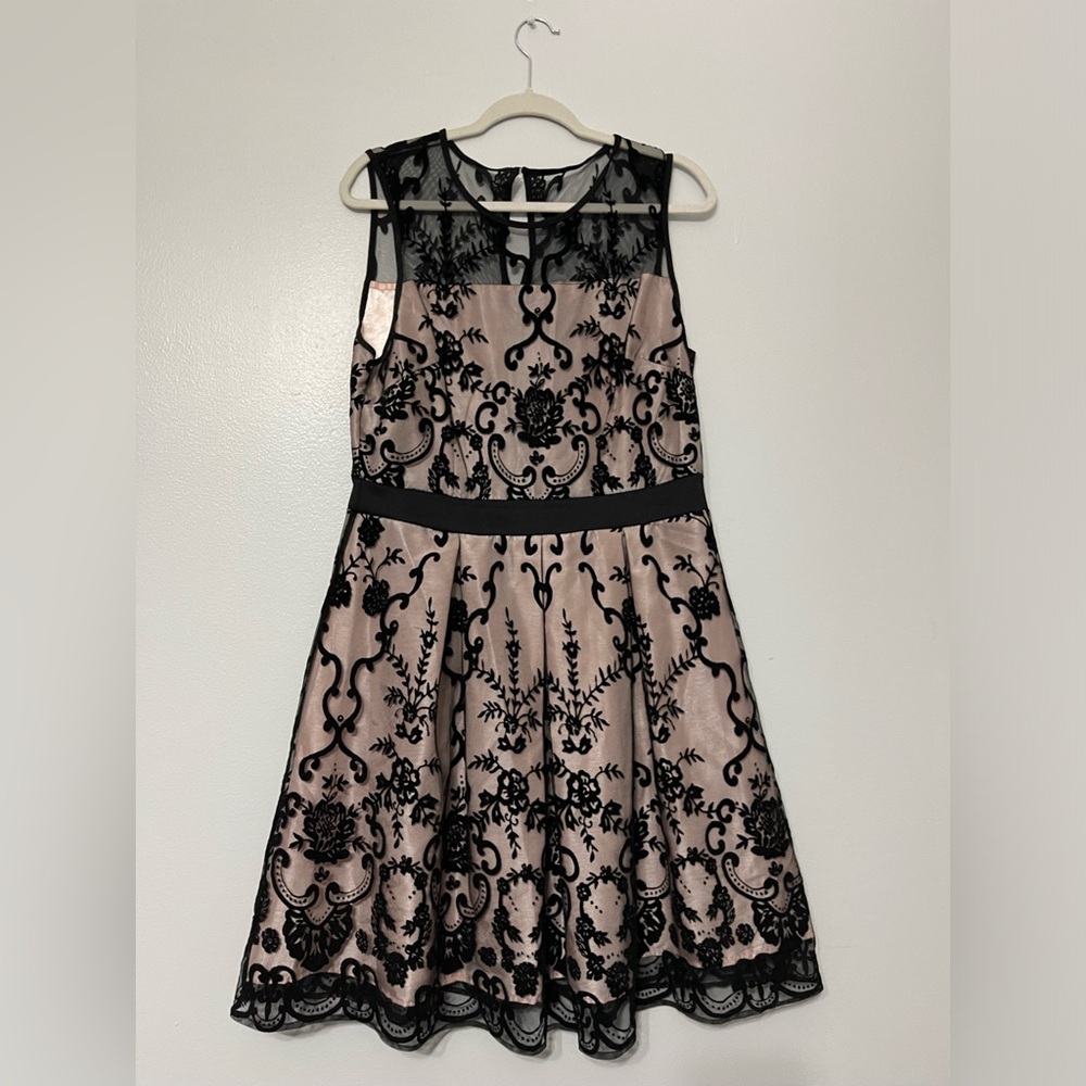 DRESSBARN ROZ & ALI Black & Blush Lace Dress